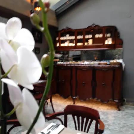 Shalom Kazimierz Aparthotel