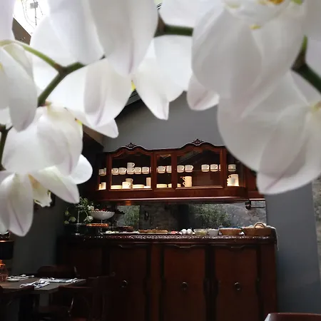 Aparthotel Shalom Kazimierz Krakow