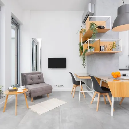 Apartment Loft