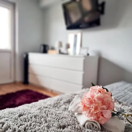 Fredry 15f Homestay