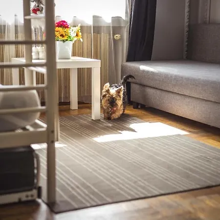 Bed & Breakfast 4 Couples & 4 Friends Krakov