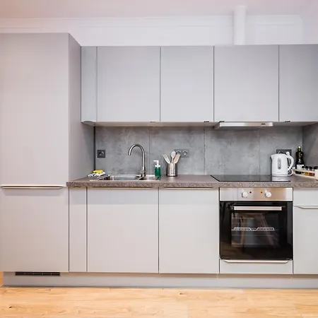 Rakowicka Old Town Luxury Wawelofts Apartment Krakow