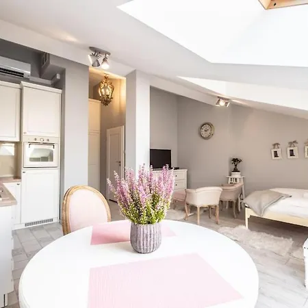 Apartament O Wysokim Standardzie W Centrum Miasta Apartment *