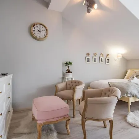 Apartament O Wysokim Standardzie W Centrum Miasta Apartment