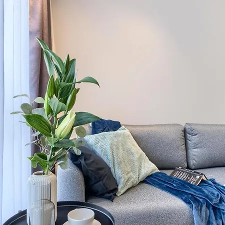 Apartament Of The Kings - Podskale 18