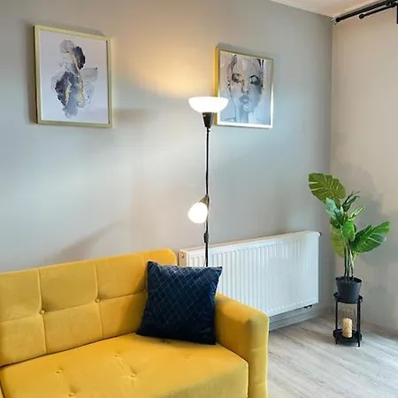 Vetulaniego Canary Comfort Krakow