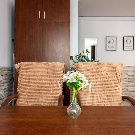 Apartment Apartament Diana Pradnik Bialy, 4 Osoby, Free Parking Krakow
