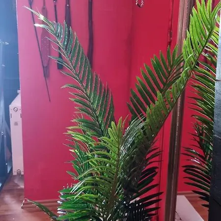 Pandora's Loft Liebeshotel