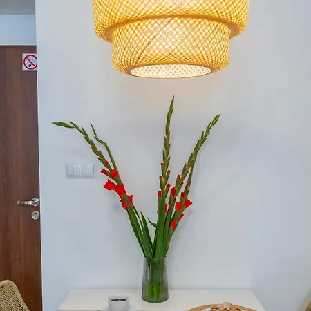 June Apartment
