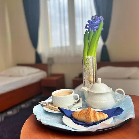 Hotel Vistula 3*