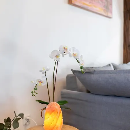 Apartment With Entresol Old Town *