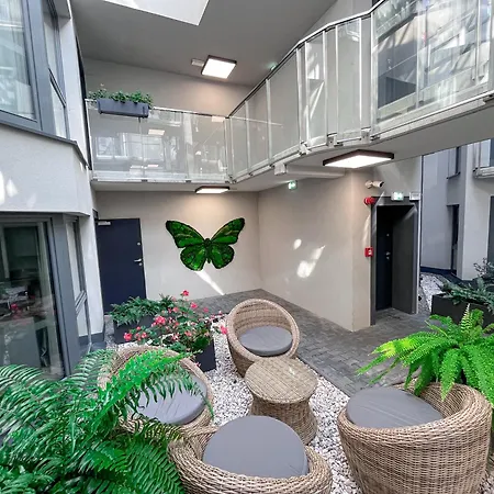 Xerion (adults Only) Krakow