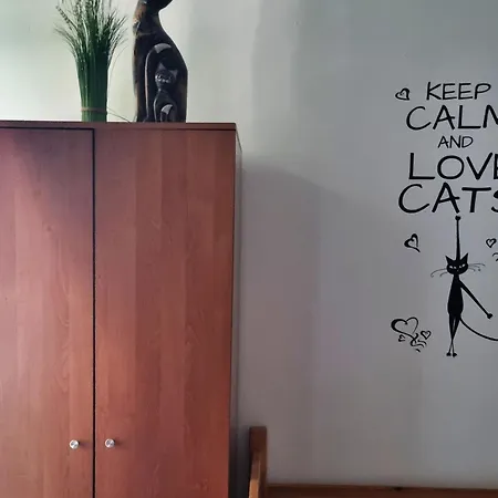 Cat Hostel *