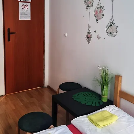 Cat Krakow