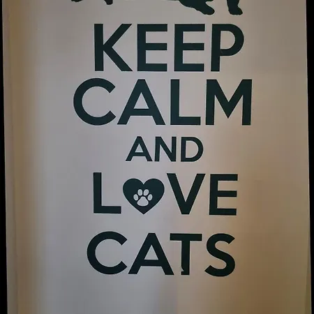 Cat Hostel *