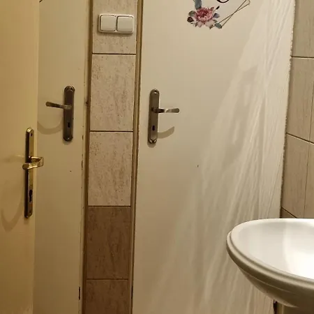 Cat Hostel Krakow