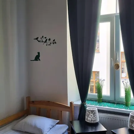 Cat * Krakow