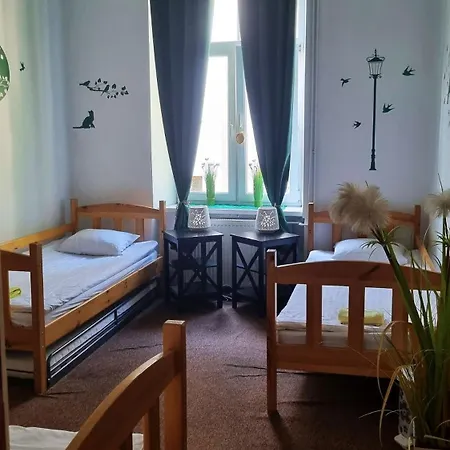 Cat Hostel