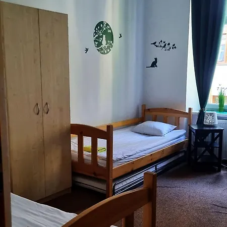 Cat Hostel *