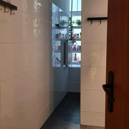 Cat * Krakow