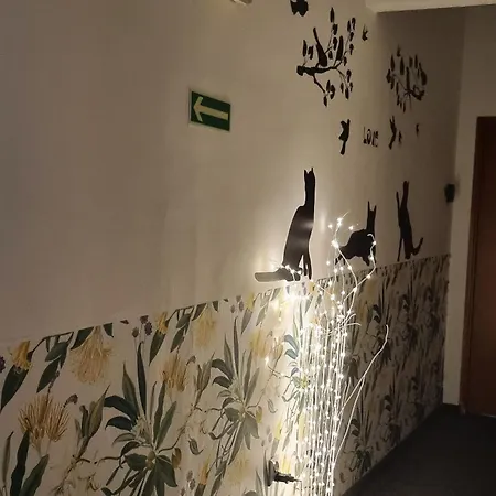 Cat Hostel Krakow