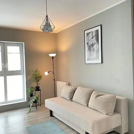 Vetulaniego Canary Comfort * Krakow