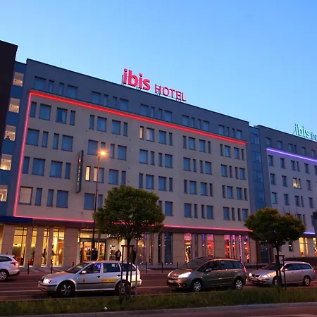 Ibis Stare
