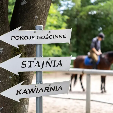 Goscinne Cheval *