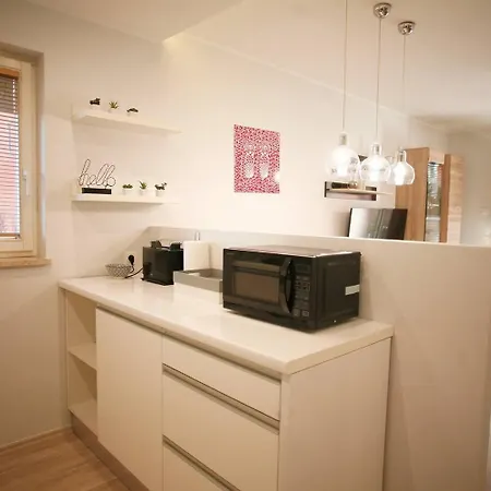 Komfortowy Bociana 4 Apartament Kraków