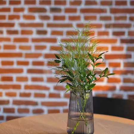 Apartament Center - Radziwillowska 27 *