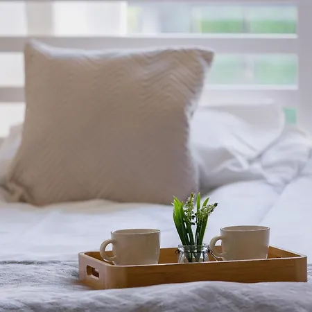 Apartment Family In Downtown Cracow By Rent Like *
