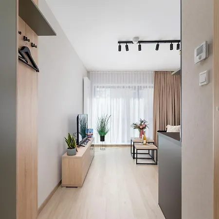 Modern With Air Conditioning In Downtown By Renters * Krakow