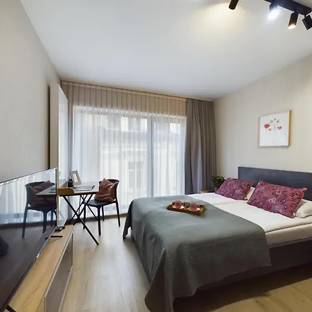 Modern With Air Conditioning In Downtown By Renters Krakow