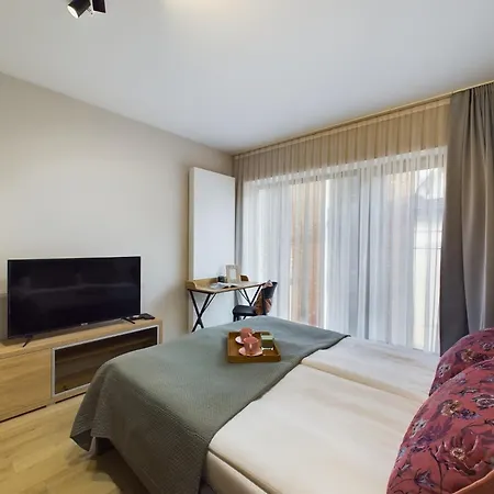 Modern With Air Conditioning In Downtown By Renters Apartment Krakow