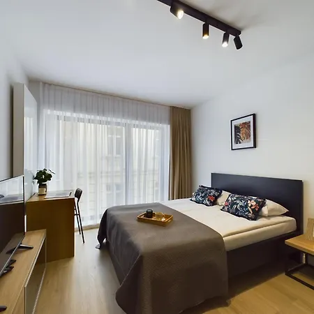 Apartment Modern With Air Conditioning In Downtown By Renters *