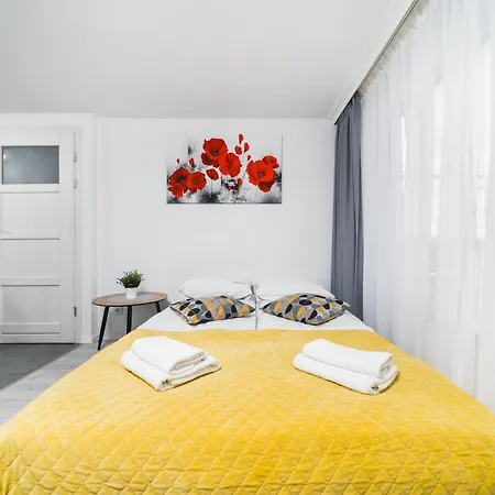 Apartament Ice *