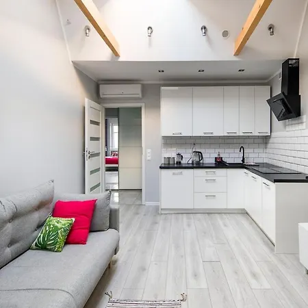 & Comfortable Apartment