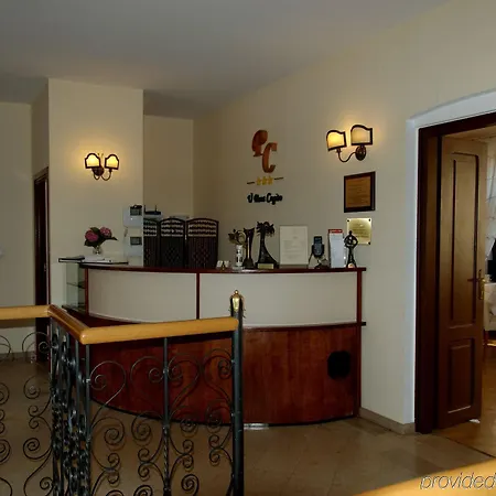 U Pana Cogito Guest house 3*