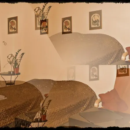 Apartamenty I Studia Herbarium *