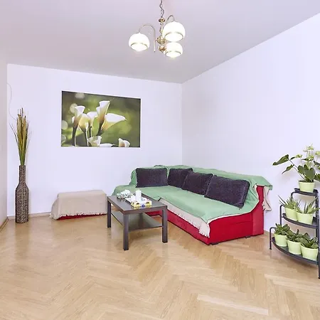 Apartment Monte Cassino 6
