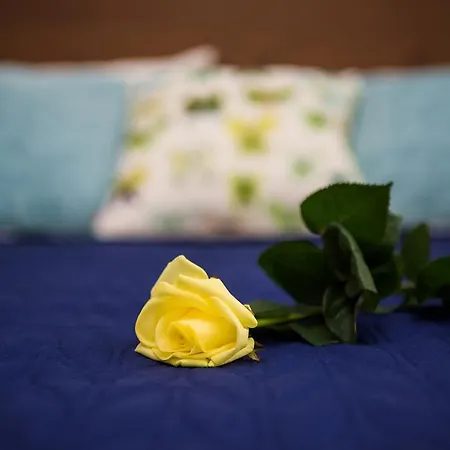 Apartamento Insom Cracow Old Town Krotka *