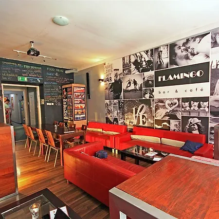 Flamingo Premium *