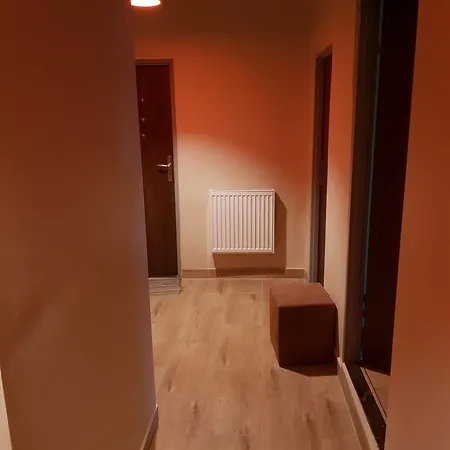 Kaktus Cracovie