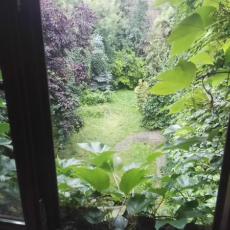 Piano *