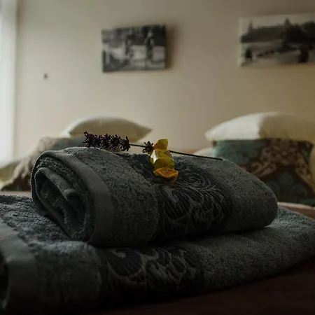 Royal Route 29 Comfort Gæstehus 3*