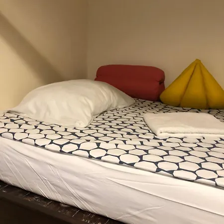 Hostel Bison *