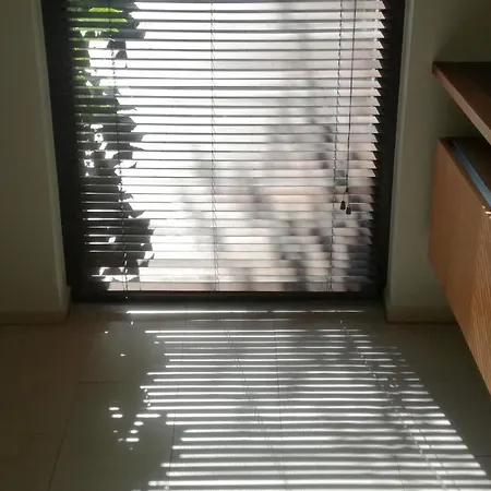 Apartment With Garden In Center