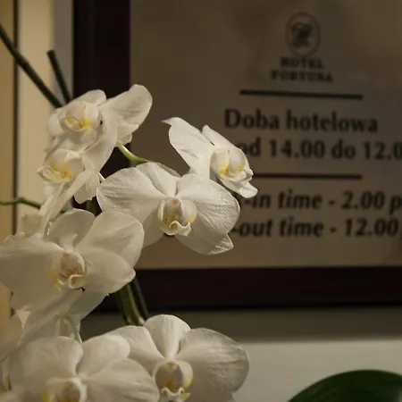 Fortuna Otel Krakow