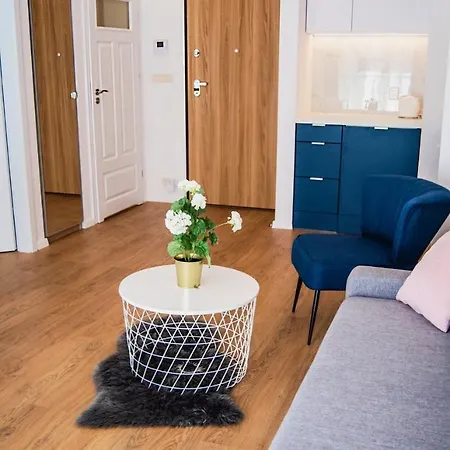 Rakowicka Wawelofts Apartment Krakau