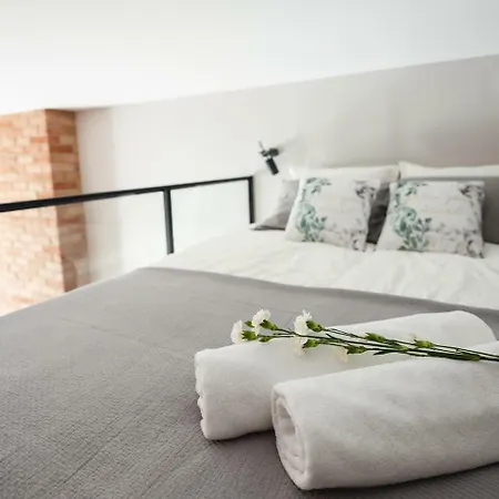Loft Cracow Old Town 3min Main Sq Apartment Krakow
